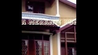 Villa Meranti Puncak 7 Kamar