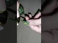 dilbar ki aankhon ka#nailarts#shorts#youtubeshorts#newsongnoora#applynownails#forviral