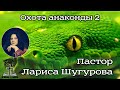 Охота анаконды 2 | 08.05.2021