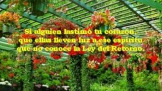 Abanquina