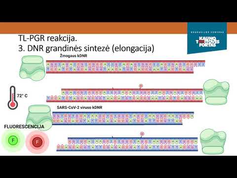 Video: Vandenilio Kvėpavimo Testas: Tikslas, Paruošimas, Procedūra Ir Rezultatai