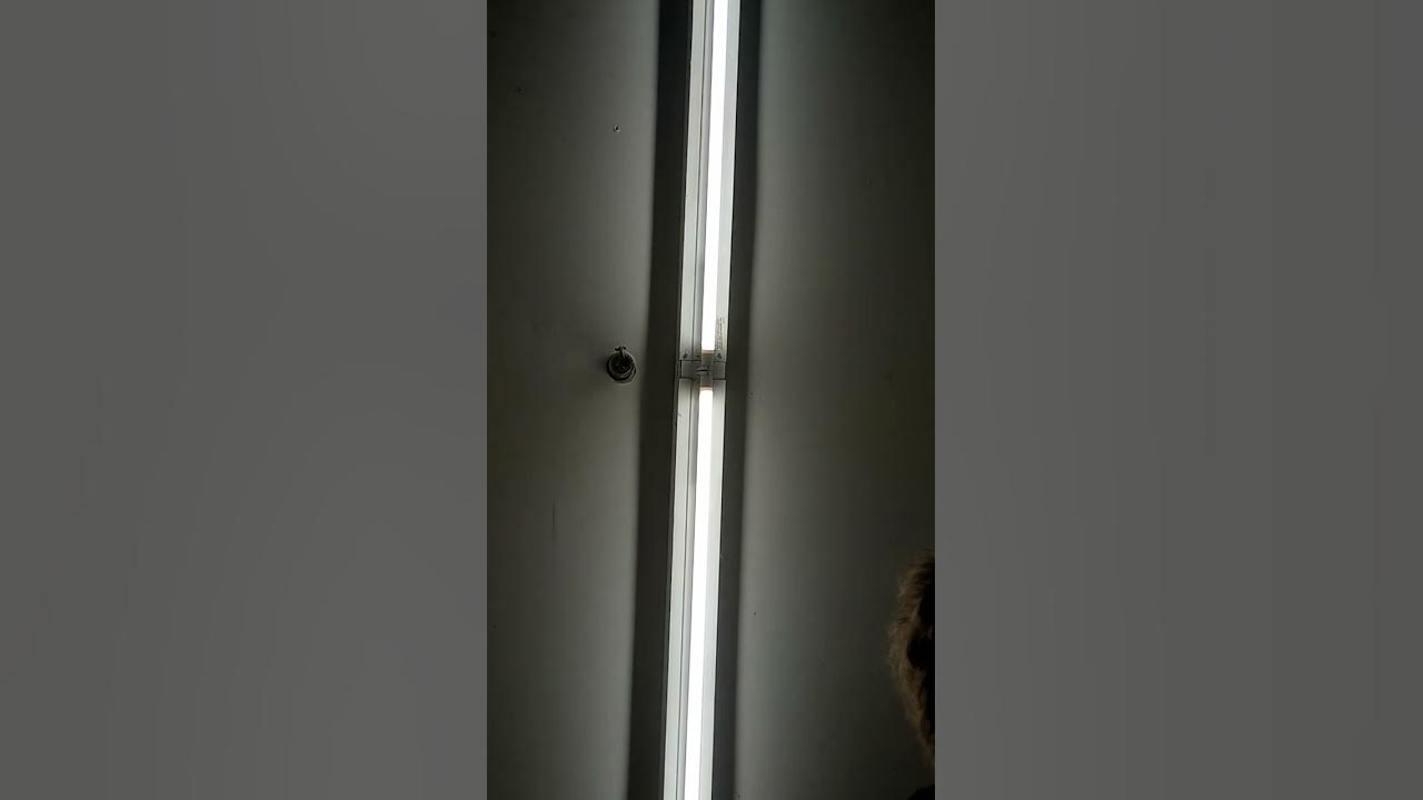dollar-general-district-manager-meeting-about-my-employment-youtube