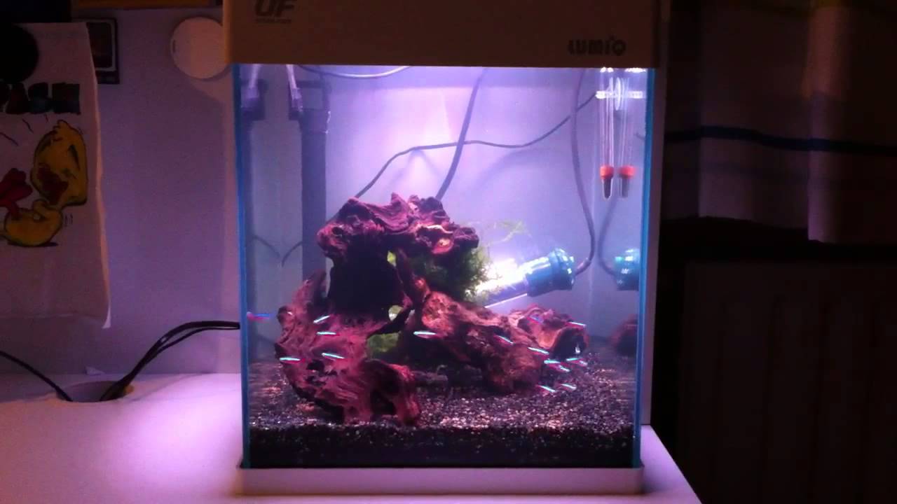 Lumiq ocean nano aquarium -