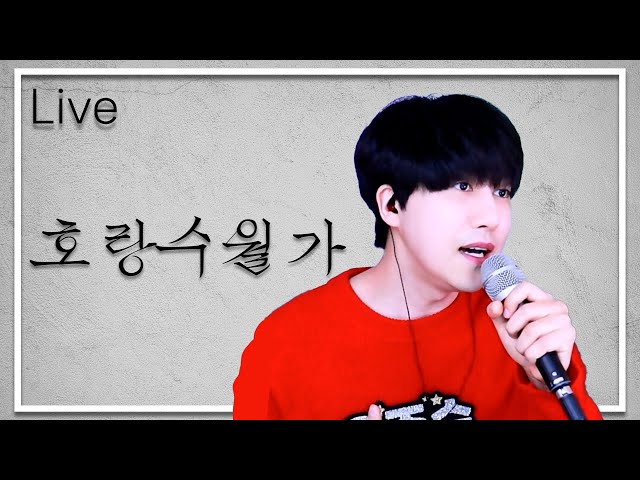 탑현 - 호랑수월가 | (원곡 : 상록수) 나와 호랑이님 OST | cover by 우준승 class=