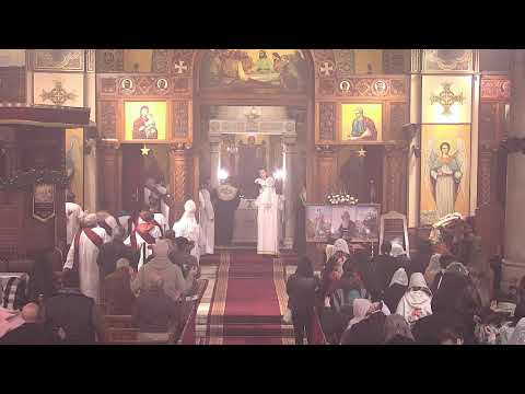 بث مباشر صلاة القداس الالهي الاثنين 12 يناير 2026 كنيسة مارمرقس 