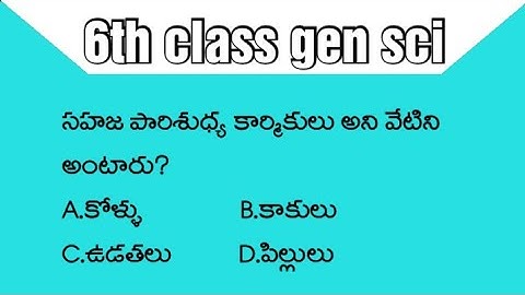 TS#tet#paper 1#6th class#gen sci#practicebits#part 1