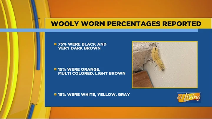 CI Living Judy Fraser's 2022-2023 Wooly Worm Forec...