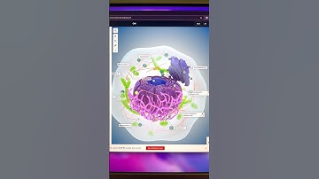 Learn medical knowledge using  interactive 3D models #medical #anatomy #study