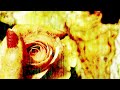 The Telescopes - Only Lovers Know (Official Music Video)