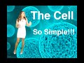 Anatomy - The Cell