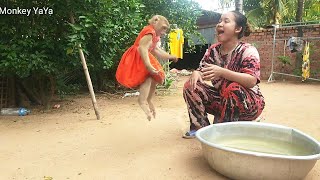 [ YaYar Jumping Surprise ] Happy In A Little Basket Pool