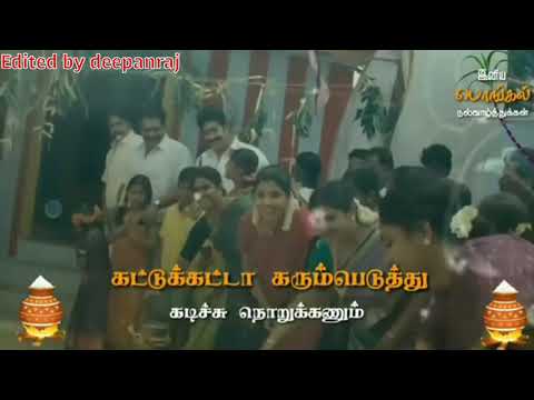 Surya pongal celebration whatsapp status