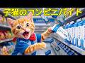 【感動】トラにゃん、ローソンで初アルバイト!初給料で憧れの財布を買った努力の物語😭💙👛✨