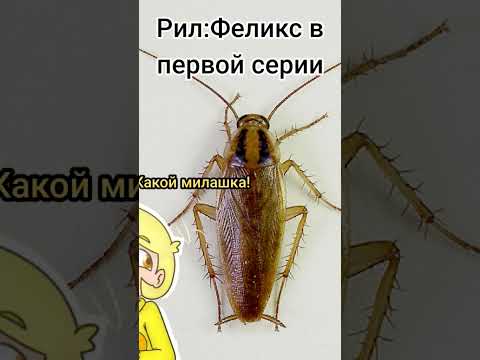 я знаю что получилось не очень но можно один лайк идея не моя