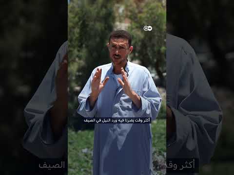 “ورد النيل” يبتلع مياه المصريين