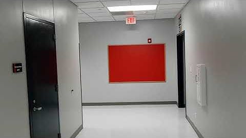 A (Small) Bite of Linear Perspective