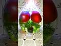Colorful Balloon Pop in Bowl | Satisfying Balloon Burst ASMR 💥🎈