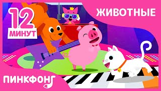 Видел Кто-нибудь Мой Хвост? и другие песни | +Сборник | Пинкфонг Песни для Детей Видел Кто-нибудь Мой Хвост? и другие песни | +Сборник | Пинкфонг Песни для Детей