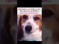 🙆🤷🤣 #viral #funny #memes #trending #comedy