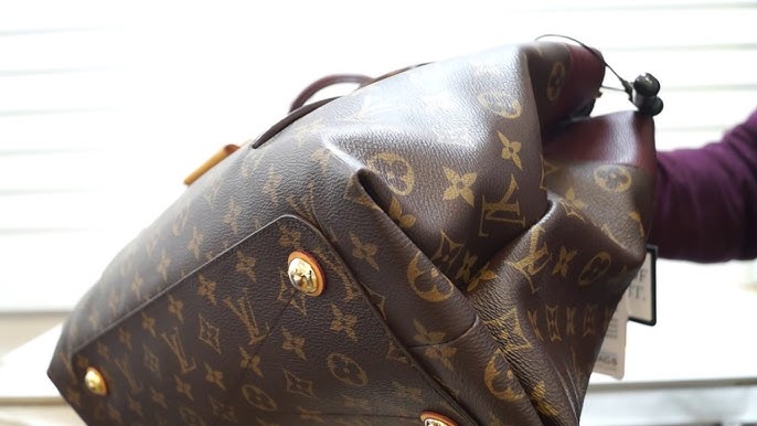 Louis Vuitton LV Olympe Bag Pros & Cons / What's In My Bag 