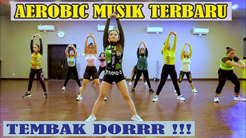 MUSIK TERBARU SENAM AEROBIK 2025 FESYA SAHARA