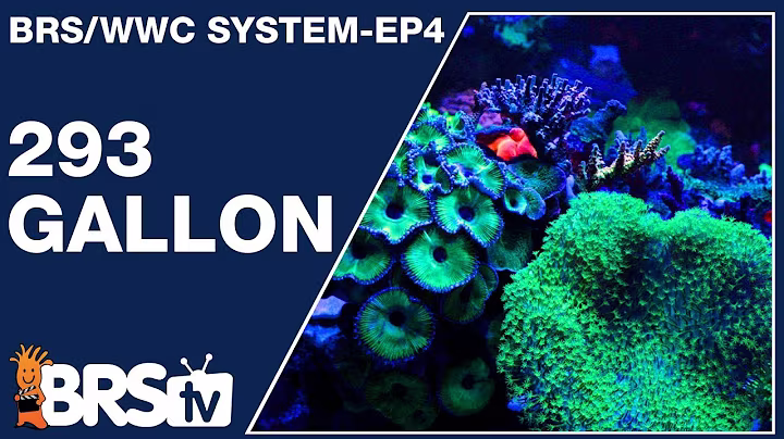 Ep4: This is how to keep a 293gal Mixed Reef Tank - The BRS/WWC System | BRStv
