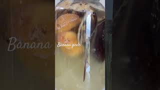 Banana Peel Tepache Fermentation #shorts