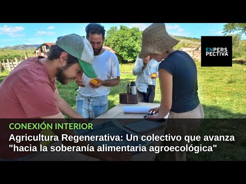 Agricultura Regenerativa: ¿Qué es? ¿Cómo y dónde se la trabaja en Uruguay?