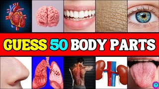 Guess The Human Body Parts In 3 Seconds🧭Body Quiz Trivia Challenge