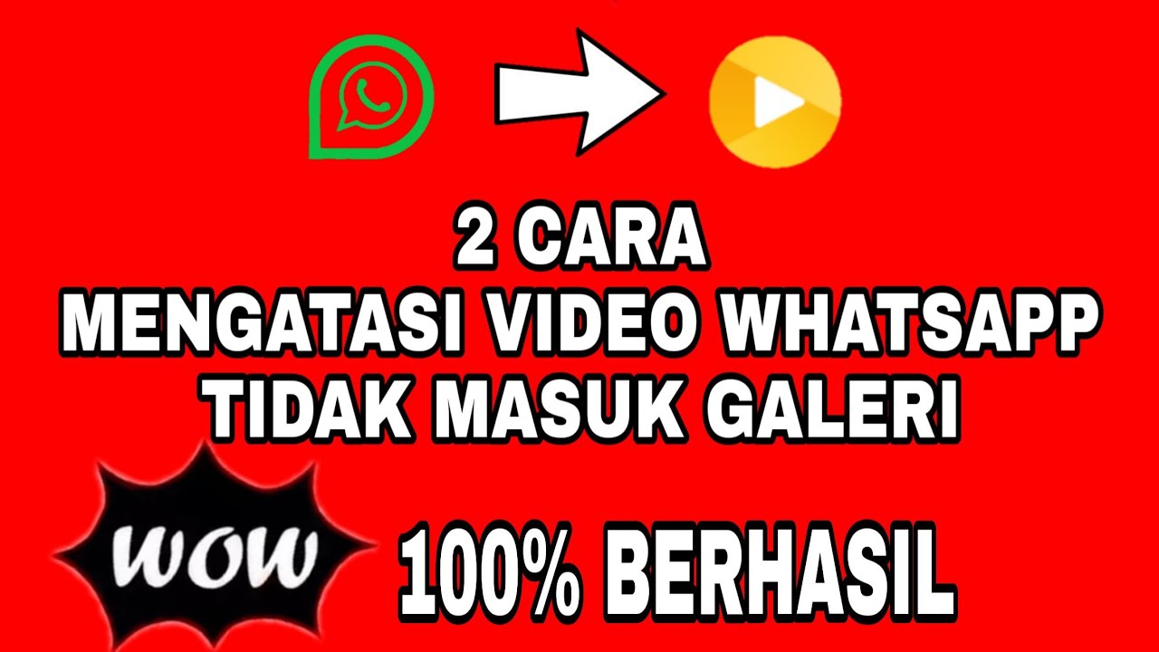 Cara Mengatasi Video WA Tidak Masuk Gallery Terbaru