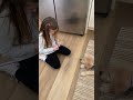 Golden Retriever Puppy Training - Sit, Kiss &amp; Paw