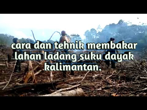 Video: Cara Mencari Lawatan Yang Membakar