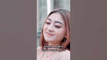 Cinta Sampai Mati 2 - Shinta Arsinta #shintaarsinta #shorts #shortvideo