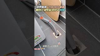 &#39;바퀴벌레&#39; 가장 많이 출몰 베란다 세탁실 하수구 처방! #악취제거 #베란다 #바퀴벌레