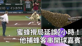 【2024 MLB】BEE DELAY！道奇和響尾蛇的比賽為什麼晚了2小時才開始？我說球場有一大群蜜蜂聚集你相信嗎！來看贏得全場歡呼聲的專業捕蜂人怎麼抓蜜蜂、怎麼開球