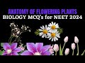 BIOLOGY MCQ&#39;s for NEET 2024 || Anatomy of Flowering Plants || by Shiksha House