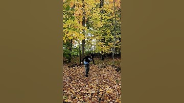 Like a kiddo enjoying the foliage 😅😆🍁🍂 #shorts #foliage #autumn #fall2022