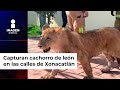 Video de Xonacatlan