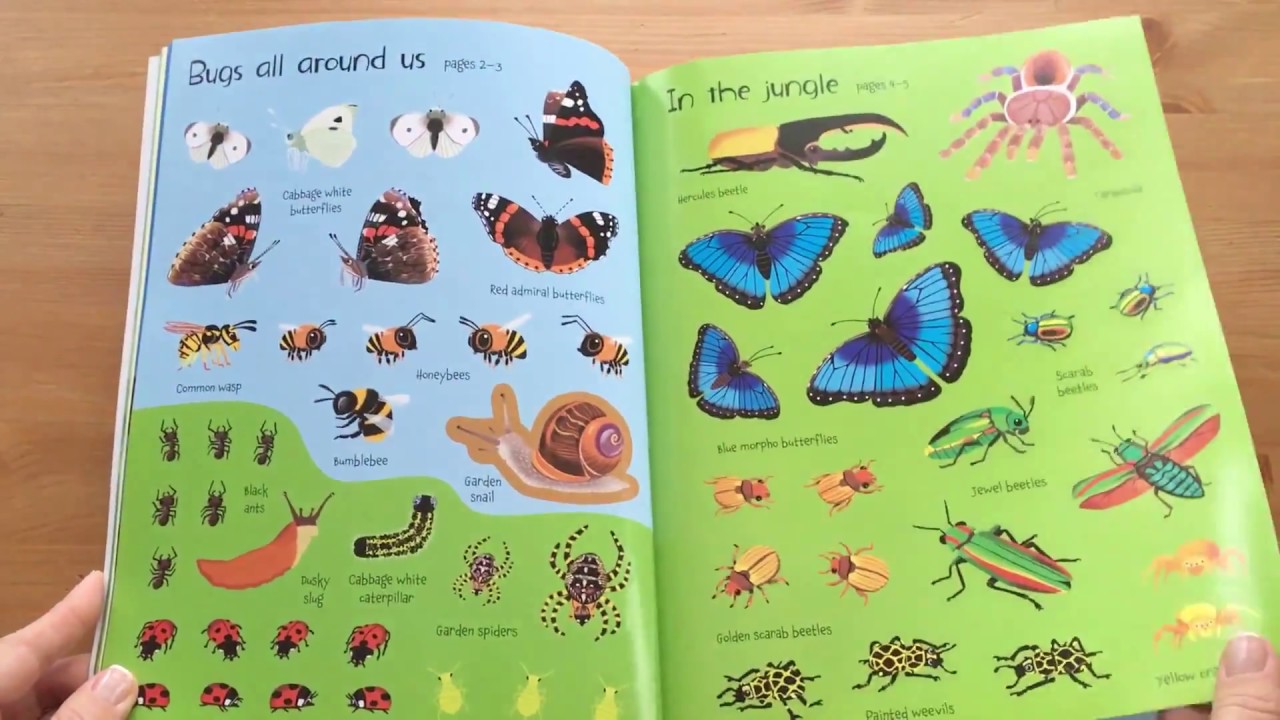 Little Stickers Bugs Book - Visit Brainerd