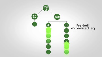 Yoli Compensation Plan - Business Centers (CA)