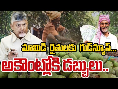 CM Chandrababu Good News To Mango Farmers | మామిడి  రైతులకు  గుడ్‌న్యూస్.. | ZEE Telugu News - ZEE24TELUGUNEWS