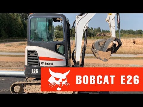 Video: Bobcat Paradižnik