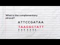 Decoding DNA Structure and Messenger RNA Synthesis