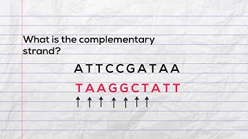 Practice writing the complementary strand of DNA  and mRNA during transcription
