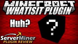 How to find out what it is in Minecraft with WhatIsIt Plugin