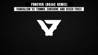 Vandalism vs Tommie Sunshine and Disco Fries - Forever (Bojac Remix)