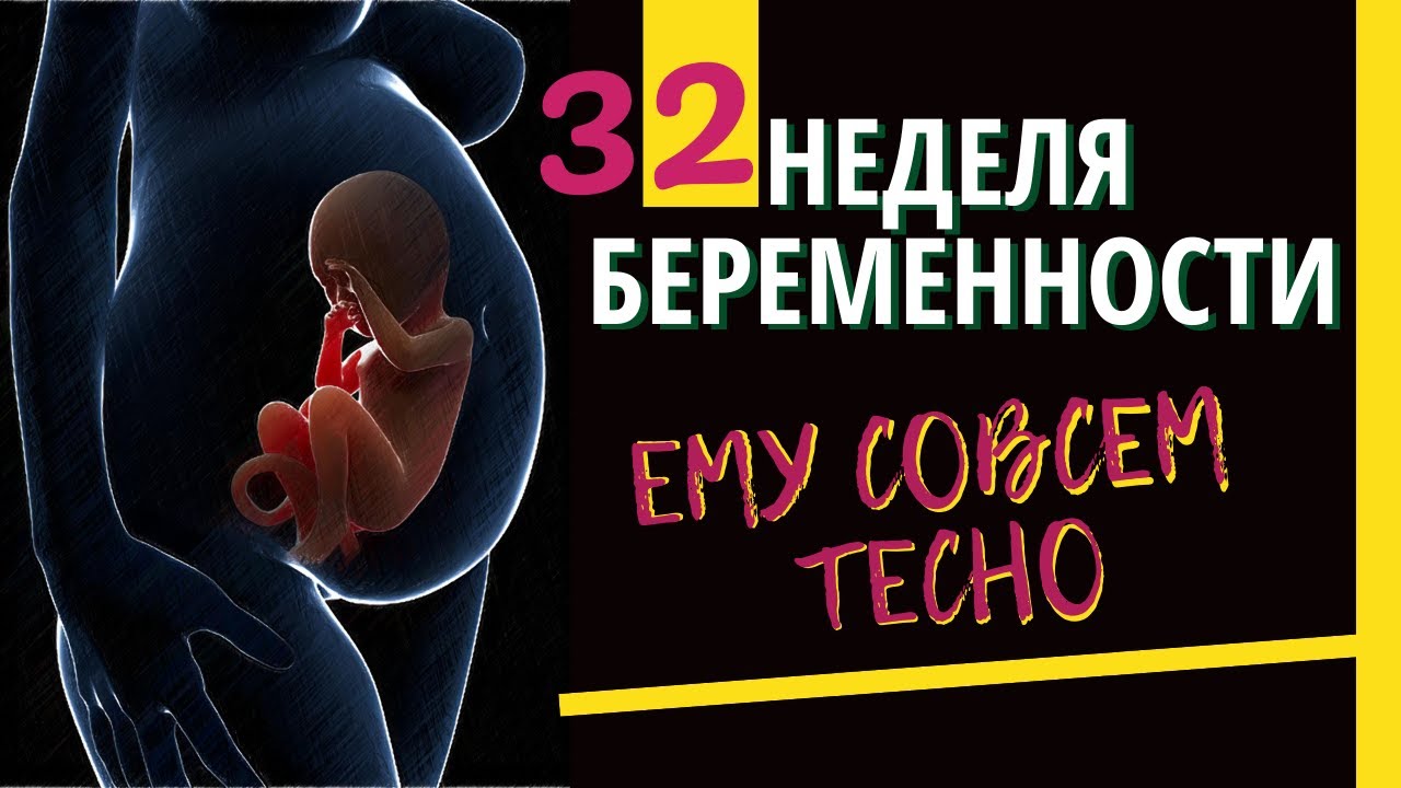 32 Неделя Беременности Фото