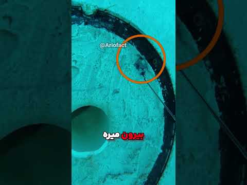 چرا آب استخرش هر روز خالی میشد راه حلش باورنکردنی بود