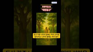 최초의 하나님 나라 에덴 동산은 과연... / 최초의 언약인 행위 언약을... / 생명나무와 선악과나무