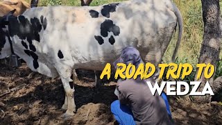 Harare to Wedza: Road Trip \& Country Life. #Zimvlog